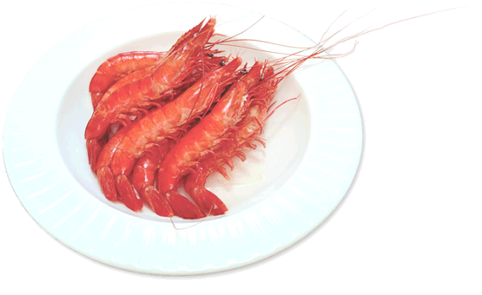 ebi1