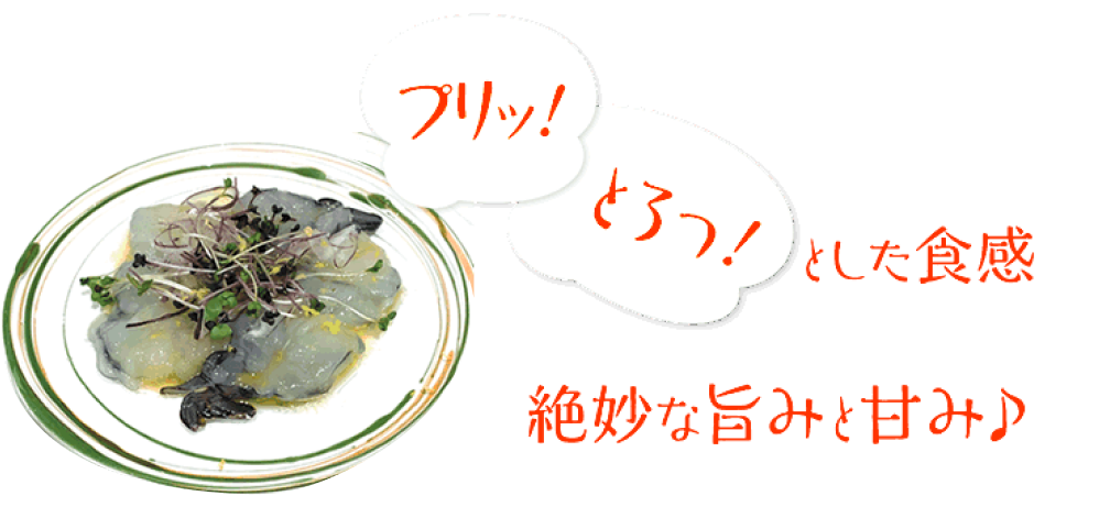 ebi2